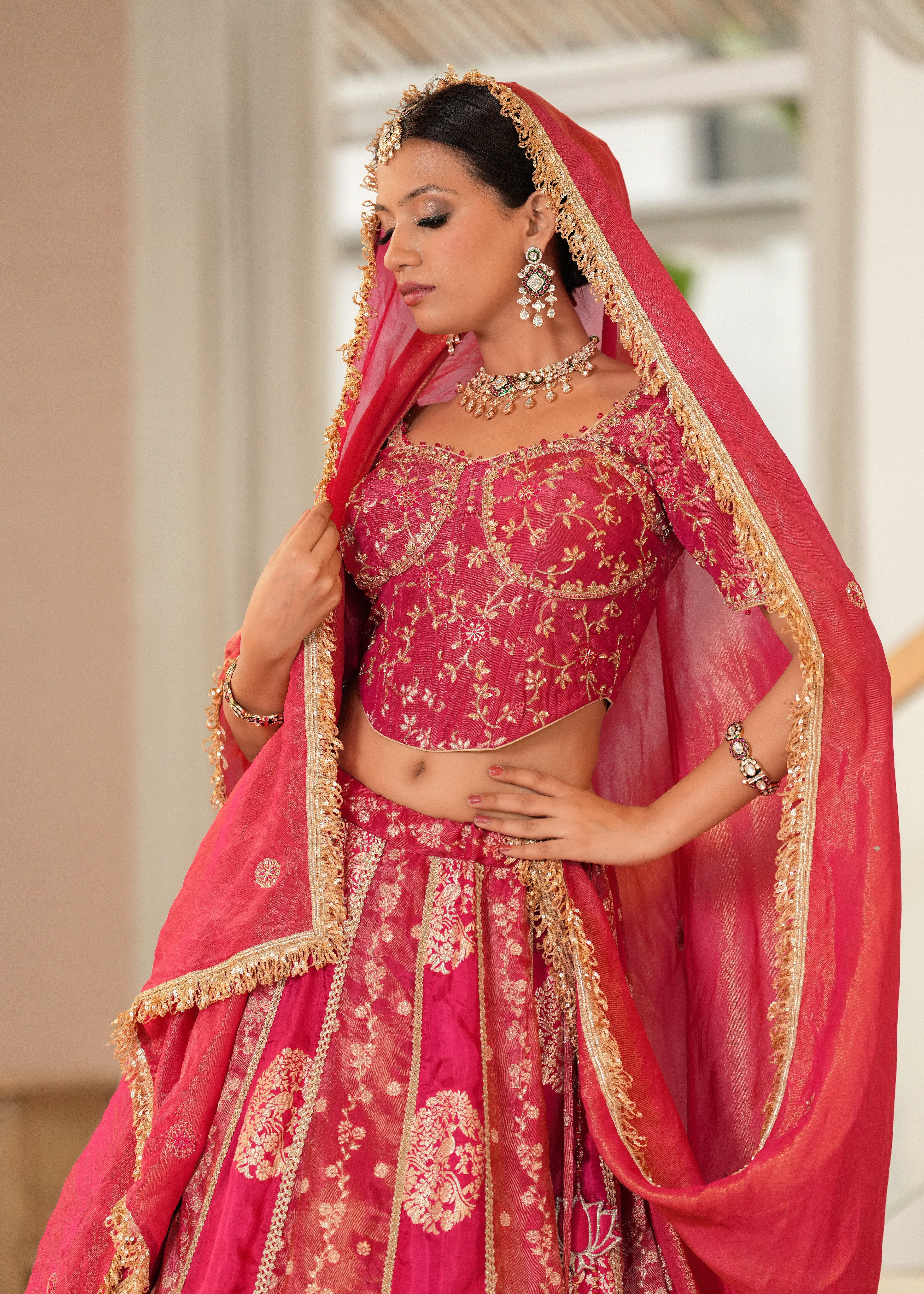 Rani Sa Lehenga Set with Blouse