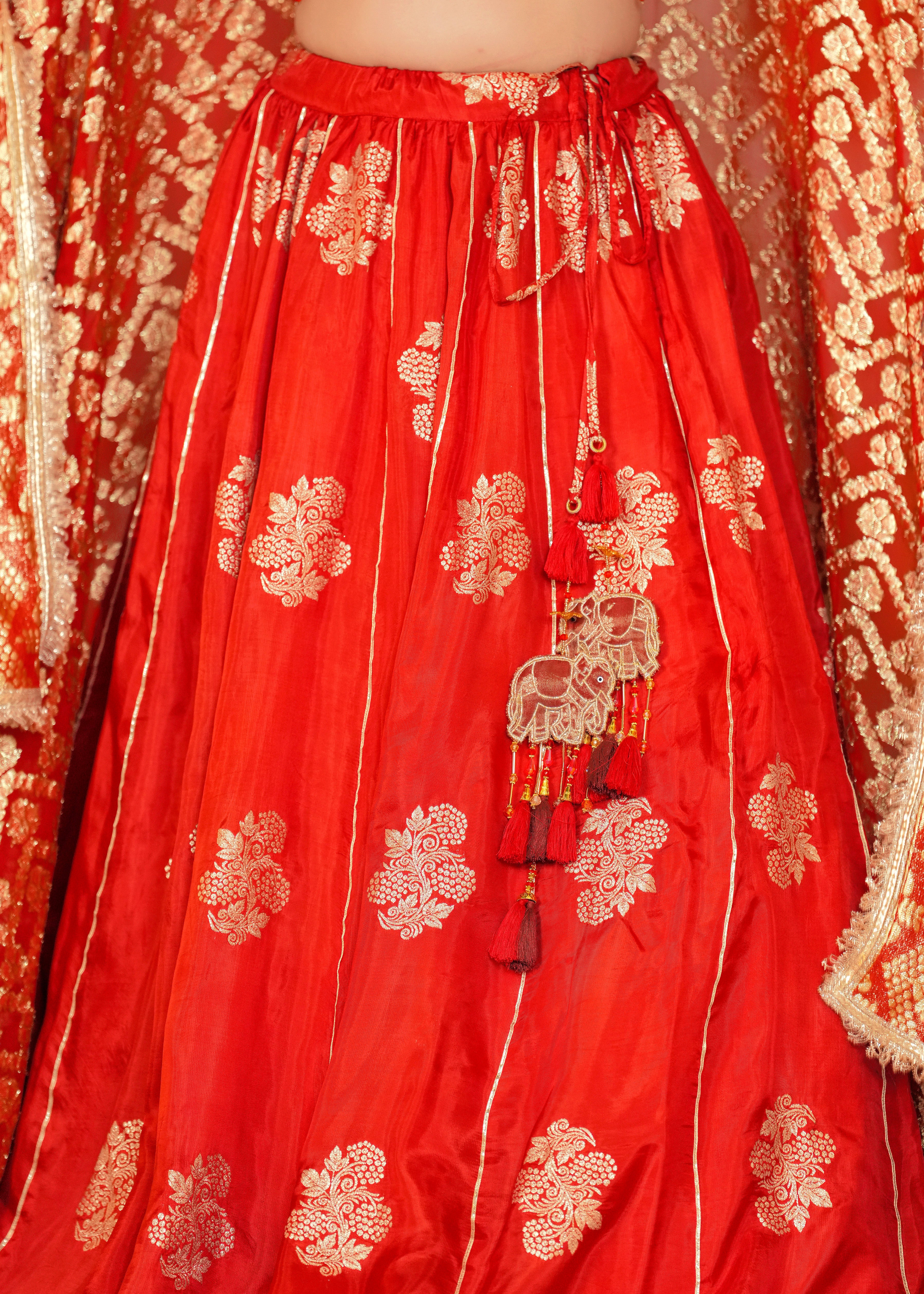 Rust Rakhtim Lehenga Set with Blouse